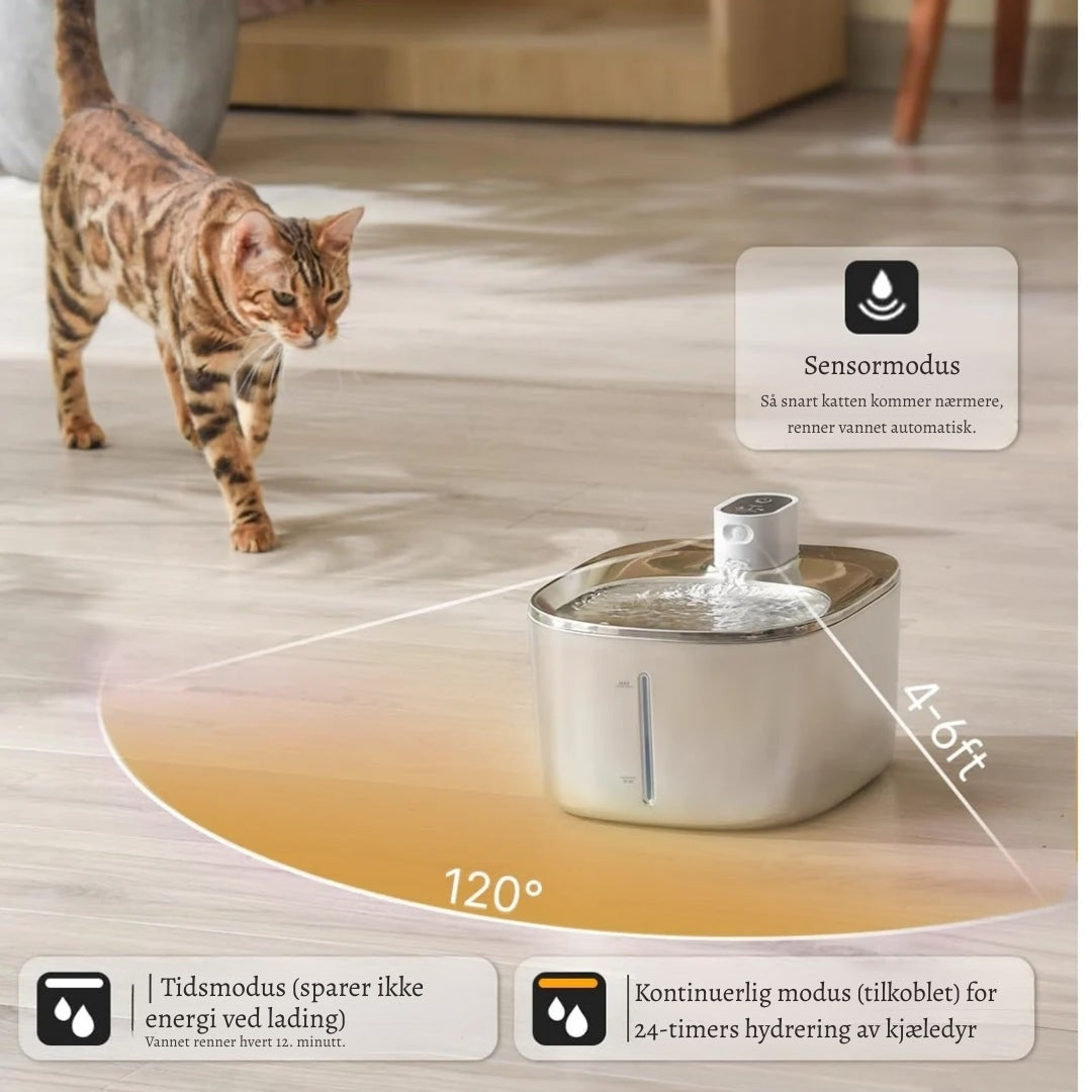 PurrKilde – Den Stillegående, Trådløse Vannfontenen for Sunnere Katter
